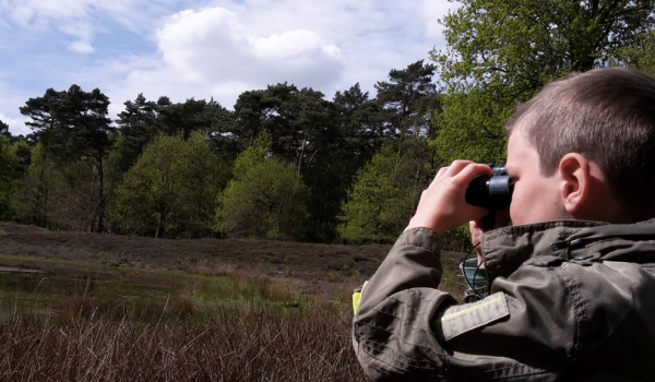 Wildspotting with a binocular in Limburg