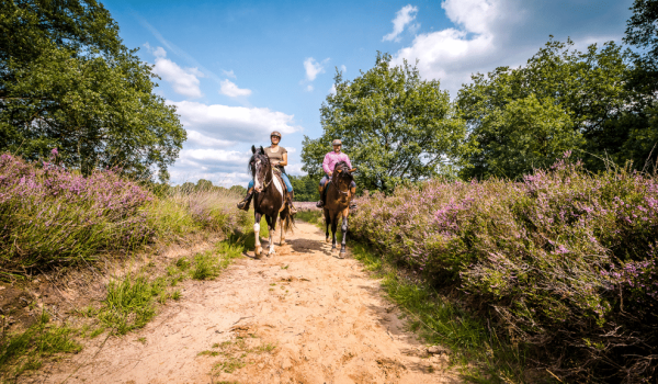 Riders in nature reserve